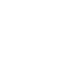 Management Stance of Innovation and Challenge